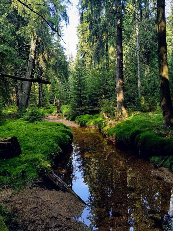 Apartmany Paseky - Jablonec Nad Nisou Buitenkant foto