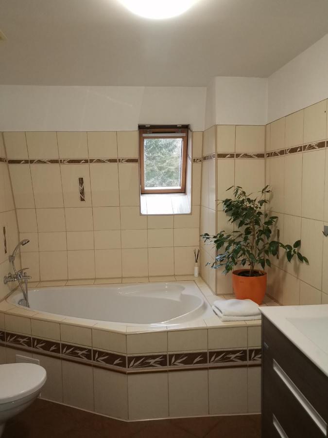 Apartmany Paseky - Jablonec Nad Nisou Buitenkant foto